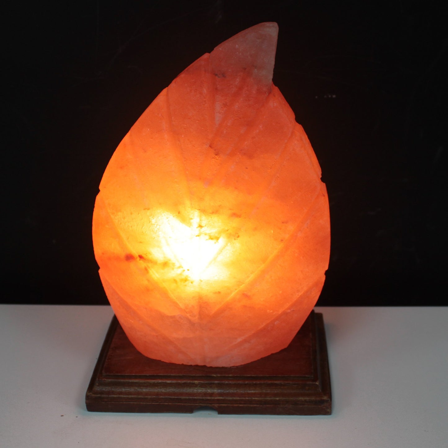 Shape Salt Lamp - Fern