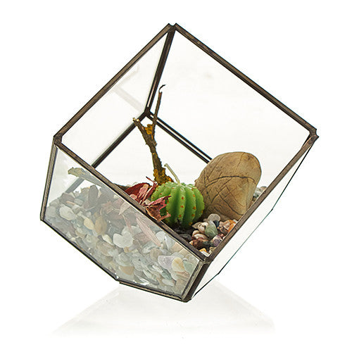 Glass Terrarium - Cube on Corner