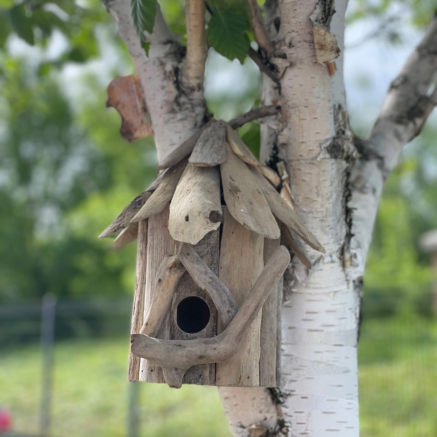 Driftwood Birdbox - Wallhanging